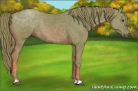 Horse Color:Watercolor Chestnut 