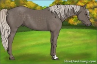 Horse Color:Silver Black 