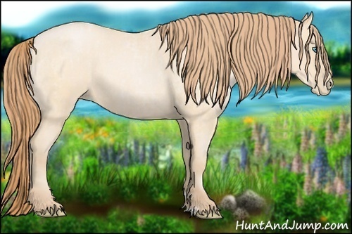 Horse Color:Buckskin Roan Pearl and Buckskin Roan Pearl Rabicano