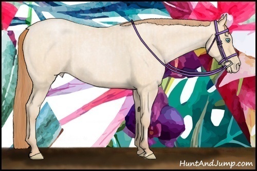 Horse Color:Buckskin Roan Pearl  and Buckskin Roan Pearl 