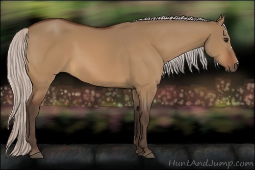 Horse Color:Silver Bay Dun 