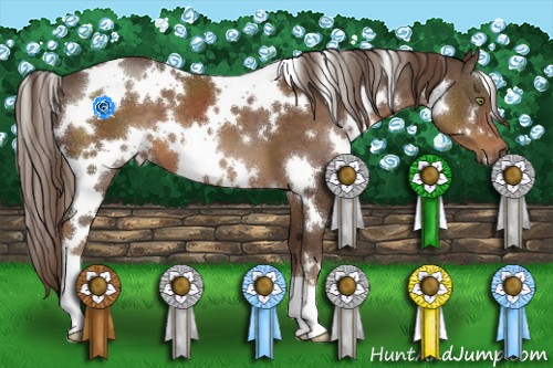 Horse Color:White Spotted Liver Chestnut 