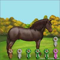 Horse Color:Gray Chestnut 