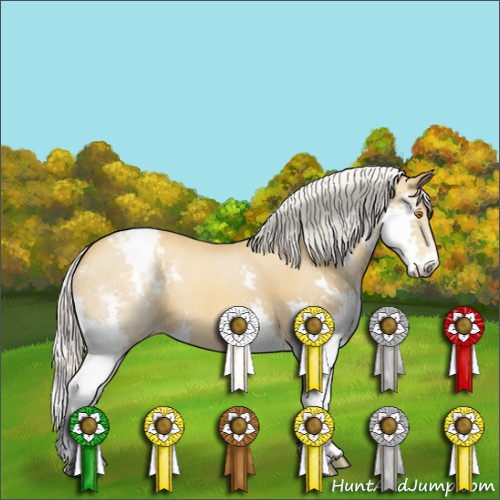 Horse Color:Silver Classic Champagne Splash Varnish 