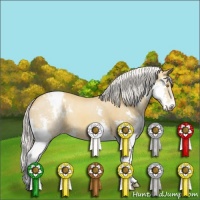 Horse Color:Silver Classic Champagne Splash Varnish