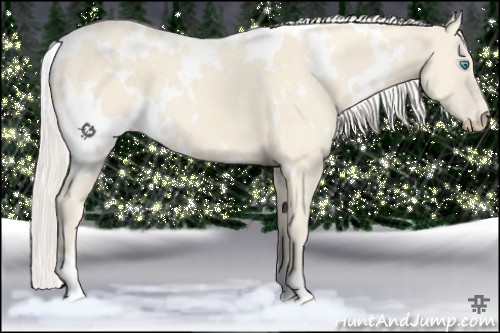 Horse Color:White Spotted Cremello
