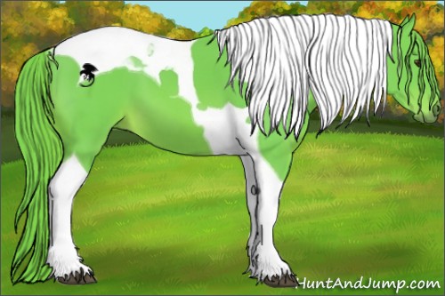 Horse Color:Watercolor Chestnut Tobiano