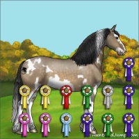 Horse Color:White Spotted Buckskin Dun Splash Frame