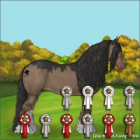 Horse Color:Liver Red Dun 