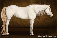 Horse Color:Buckskin Roan Pearl and Buckskin Roan Pearl Rabicano
