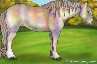 Horse Color:Nacre Palomino Onyx 