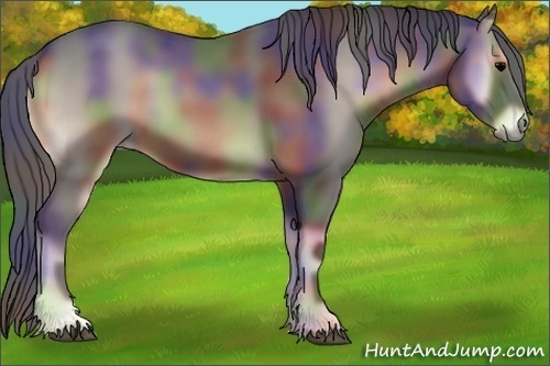 Horse Color:Nacre Blue Onyx 