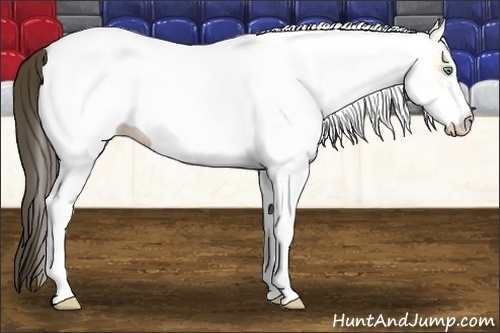 Horse Color:White Spotted Amber Cream Champagne Dun