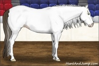 Horse Color:White Spotted Amber Cream Champagne Dun