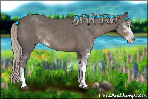 Horse Color:Silver Black Sabino 