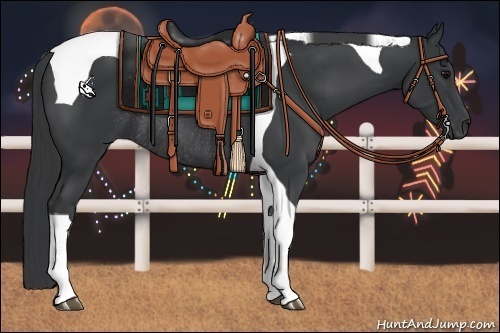 Horse Color:Black Tobiano Rabicano 