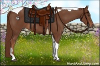 Horse Color:Chestnut Tobiano Rabicano 