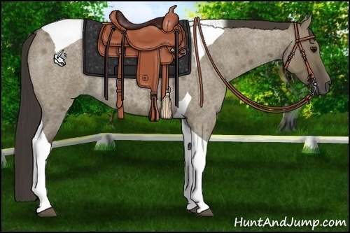 Horse Color:Smoky Grullo Roan Tobiano 