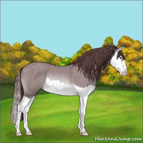 Horse Color:Chocolate Sable Champagne Chinchilla Splash 