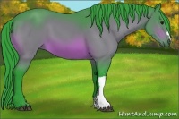 Horse Color:Watercolor Bay 