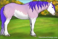Horse Color:Watercolor Bay Dun Splash 