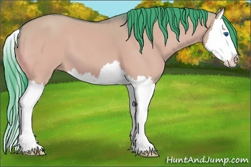 Horse Color:Watercolor Bay Dun Splash