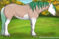 Horse Color:Watercolor Bay Dun Splash
