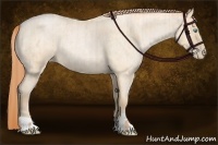 Horse Color:Buckskin Roan Pearl and Buckskin Roan Pearl