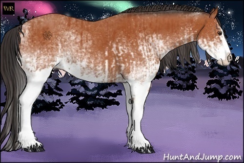 Horse Color:White Spotted Bay Splash  and White Spotted Bay Splash 