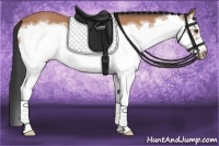 Horse Color:Bay Splash Frame