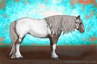 Horse Color:Silver Blue Roan Near Fewspot 