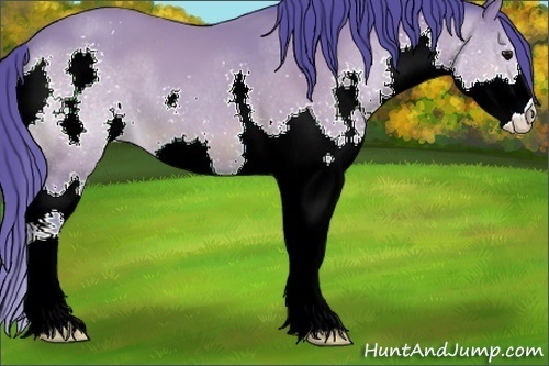 Horse Color:Watercolor Bay Splash 