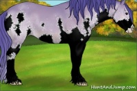 Horse Color:Watercolor Bay Splash