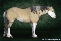 Horse Color:Buckskin Dun Sabino 