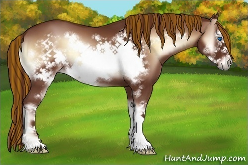 Horse Color:Painted Red Onyx Sabino Frame 