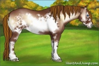 Horse Color:Painted Red Onyx Sabino Frame 