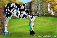 Horse Color:Painted White Spotted Bay Pearl Onyx Appaloosa 