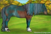 Horse Color:Painted Brown Rabicano 