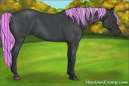 Horse Color:Painted Silver Blue Chinchilla Roan 