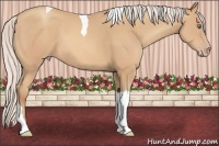 Horse Color:Silver Amber Champagne Tobiano