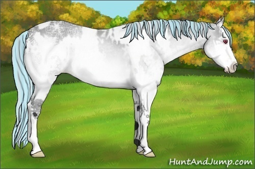 Horse Color:Painted Buckskin Chinchilla Ice Roan Pearl Splash  and Painted Silver Bay Chinchilla Ice Roan Splash 