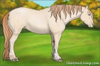 Horse Color:Buckskin Roan Pearl  and Buckskin Pearl 