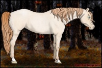 Horse Color:Buckskin Roan Pearl and Buckskin Roan Pearl
