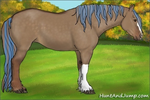 Horse Color:Painted Liver Red Dun