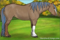 Horse Color:Painted Liver Red Dun