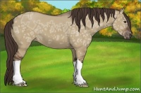 Horse Color:Liver Red Dun Ice 