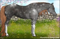 Horse Color:Liver Chestnut Tobiano 