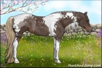 Horse Color:Liver Chestnut Tobiano 