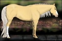 Horse Color:Silver Sable Cream Champagne Dun 