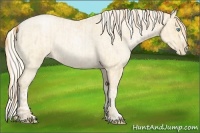 Horse Color:Buckskin Roan Pearl  and Palomino Roan Pearl 